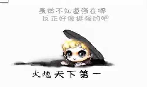 冒险岛火炮手暴击高吗　冒险岛用火枪的是什么职业-第58张