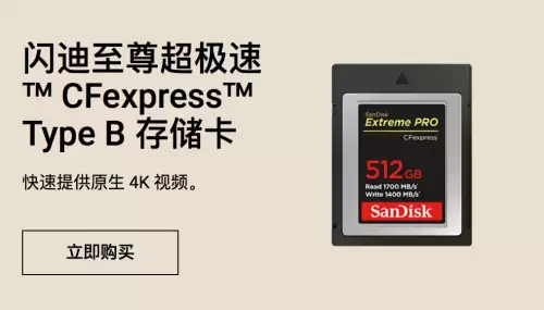 cf卡手卡枪什么意思　CF卡是什么-第8张