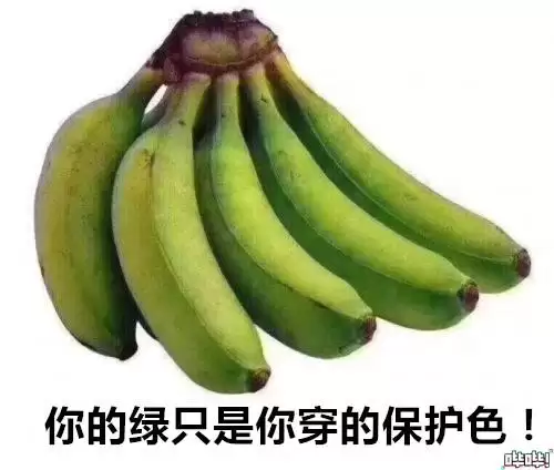 魔兽世界绿色版是什么意思　绿色版本是什么意思-第9张