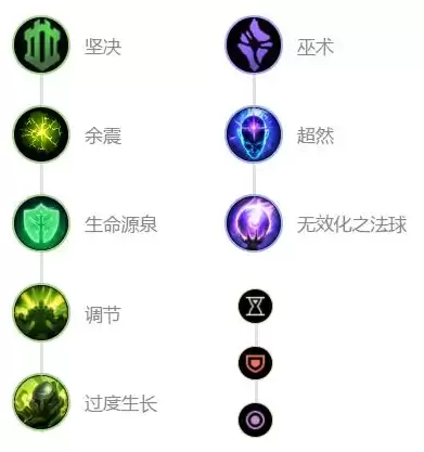 阿木木带什么召唤师技能　阿木木加点-第4张