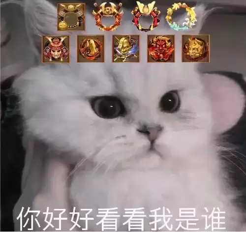 阴阳师鲤鱼精哪里多跑跑　阴阳师鲤鱼精的好朋友-第10张