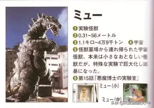 巴鲁之蛋是什么宠物　神奇宝贝杰尼龟-第21张