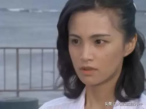 巴鲁之蛋是什么宠物　神奇宝贝杰尼龟-第26张
