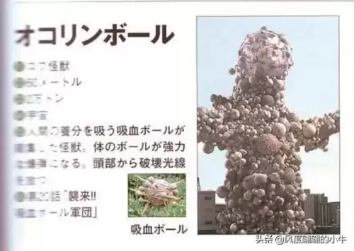 巴鲁之蛋是什么宠物　神奇宝贝杰尼龟-第29张