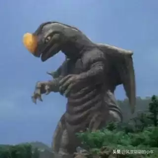 巴鲁之蛋是什么宠物　神奇宝贝杰尼龟-第41张
