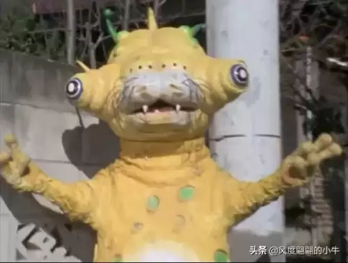 巴鲁之蛋是什么宠物　神奇宝贝杰尼龟-第54张