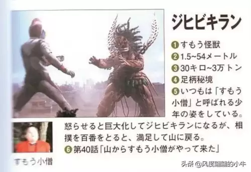 巴鲁之蛋是什么宠物　神奇宝贝杰尼龟-第56张