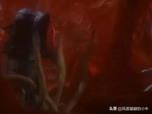 巴鲁之蛋是什么宠物　神奇宝贝杰尼龟-第55张