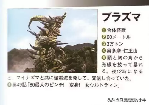 巴鲁之蛋是什么宠物　神奇宝贝杰尼龟-第66张