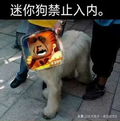 迷你世界还能违法么违法么　迷你世界有版权吗-第1张