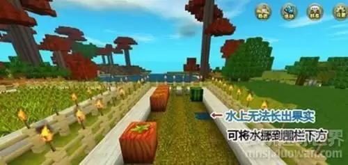 迷你世界如何快速获得西瓜　迷你西瓜怎么种-第2张