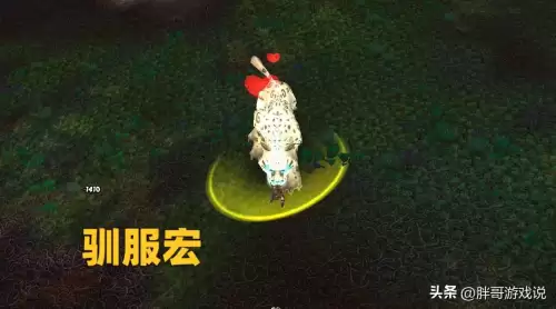 魔兽世界wlk猎人宏-第3张