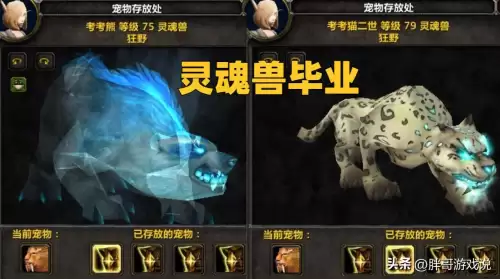 魔兽世界wlk猎人宏-第2张