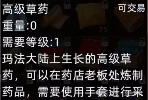 永恒之塔做蓝药的采集-第4张