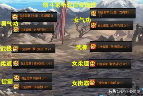 dnf女圣骑士勋章　dnf全职业白金徽章选择-第4张
