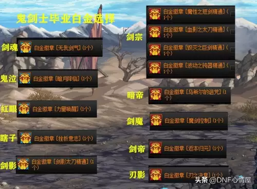 dnf女圣骑士勋章　dnf全职业白金徽章选择-第3张