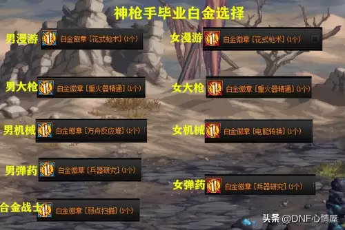 dnf女圣骑士勋章　dnf全职业白金徽章选择-第5张