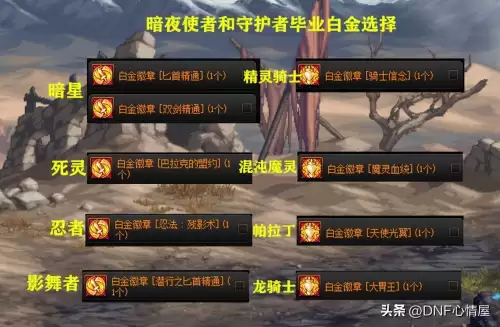 dnf女圣骑士勋章　dnf全职业白金徽章选择-第8张