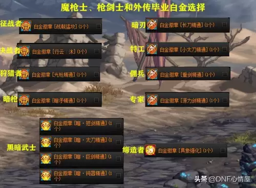 dnf女圣骑士勋章　dnf全职业白金徽章选择-第9张