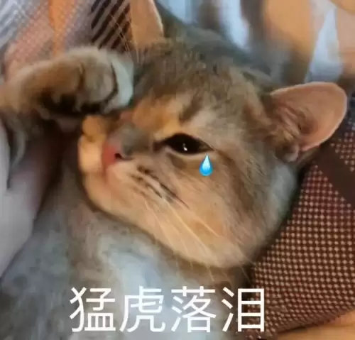 神武七夕奇遇-第5张