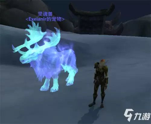 魔兽世界灵魂兽熊在哪　魔兽世界诺森德灵魂兽分布图-第1张
