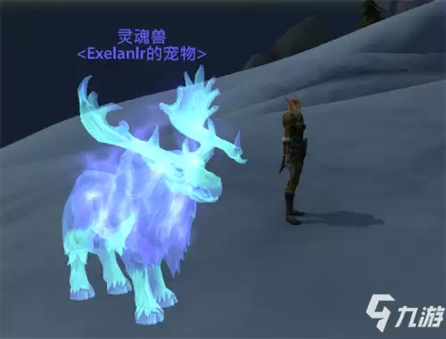 魔兽世界灵魂兽熊在哪　魔兽世界诺森德灵魂兽分布图-第2张