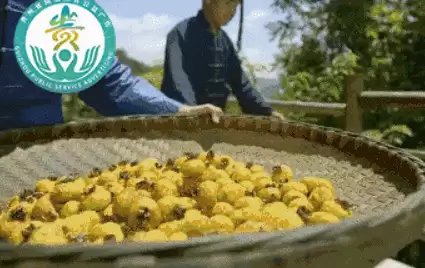 火炬之光2dot炮工　火炬之光2招工前期装备-第4张