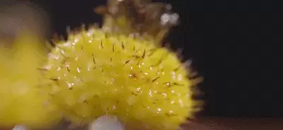 火炬之光2dot炮工　火炬之光2招工前期装备-第6张