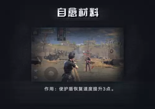 明日之后八十级适合什么护盾　明日之后适合一个人的房子-第13张