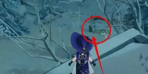 原神公主之匣三个位置　原神雪山三个匣子位置在哪-第6张