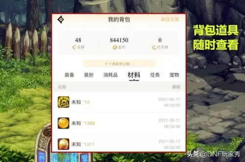 dnf助手背包设置　DNF助手-第6张