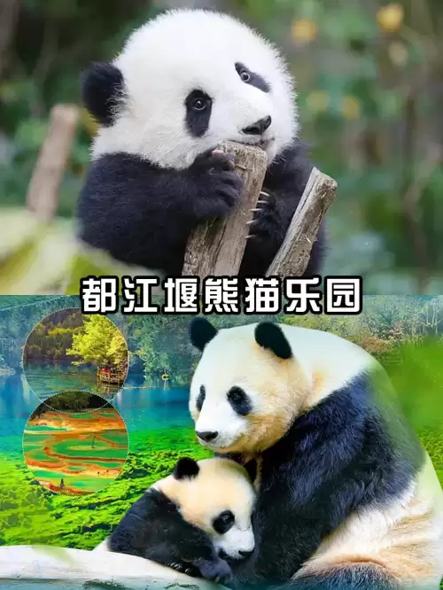 成都游玩攻略3天费用　成都三日游攻略费用-第2张