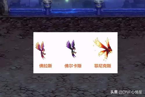 dnf宠物升级20级　dnf宠物宝珠大全可交易2019-第1张