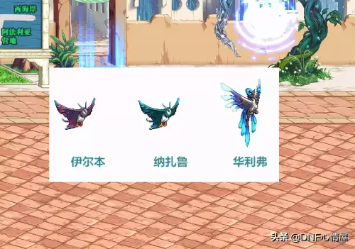 dnf宠物升级20级　dnf宠物宝珠大全可交易2019-第7张