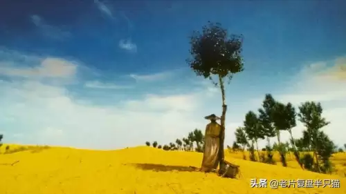 东邪西毒南帝北丐是指谁　昆明南帝北丐东邪西毒-第95张