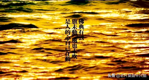 东邪西毒南帝北丐是指谁　昆明南帝北丐东邪西毒-第111张