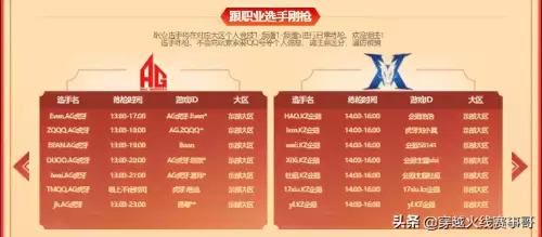 cf雅男打过职业比赛吗　CF职业选手-第5张