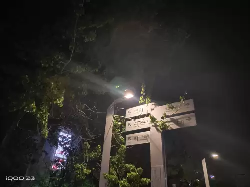 iqooz3可以玩原神吗　iQOO手机玩原神哪款最好-第20张