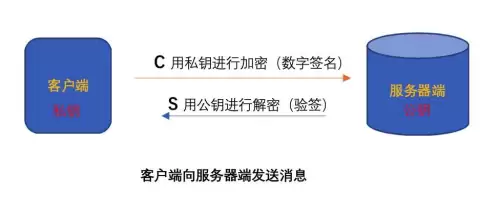 迷你世界先遣服密码是多少照片　迷你世界先遣服的账号密码-第9张