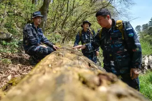 cf传说之路一共多少级　cf传说之路2奖励明细-第2张