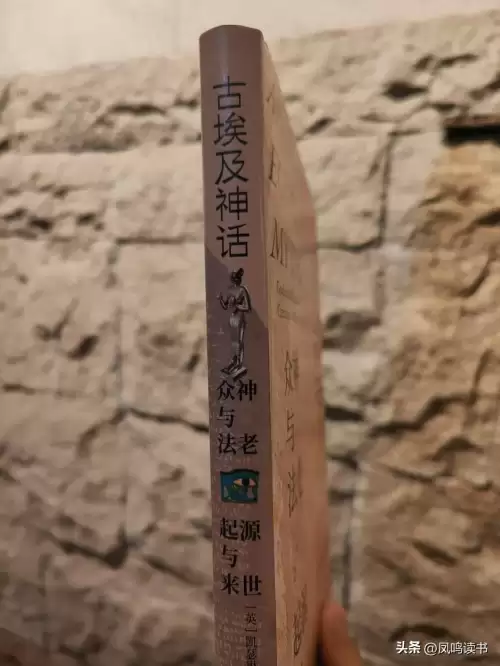 诸神世纪小说阅读　神话纪元游戏降临-第2张