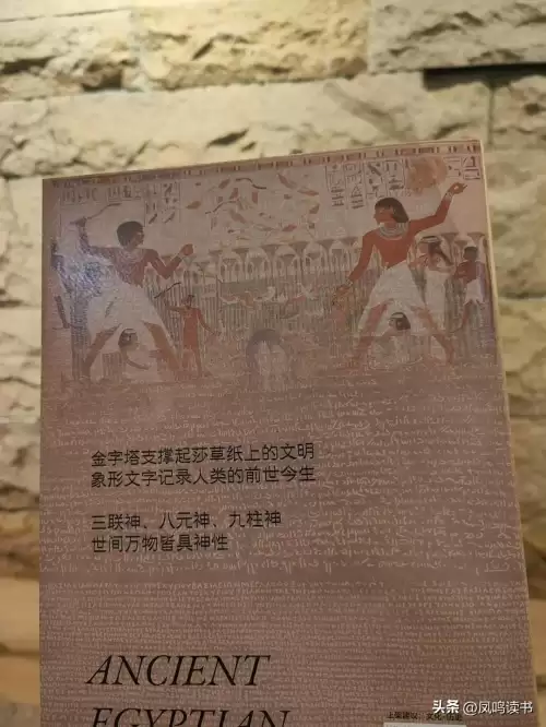 诸神世纪小说阅读　神话纪元游戏降临-第8张