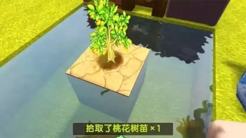 迷你世界怎么弄空岛生存　迷你世界空岛生存地图-第8张