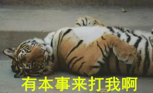 九阴真经监狱怎么卡　九阴真经警我令在哪换门派牌子-第4张