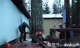 九阴真经监狱怎么卡　九阴真经警我令在哪换门派牌子-第13张