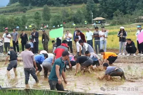 天刀手游一念江湖五毒凉亭在哪　天刀手游曲无忆天命引起琴魔注意-第10张