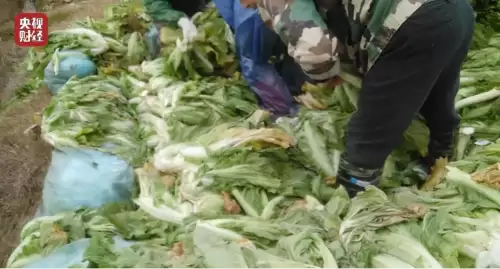 天天狼人杀pc6　狼人派对游戏-第11张
