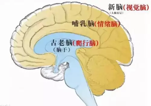 亚当夏娃年代记攻略　亚当找夏娃三攻略-第1张