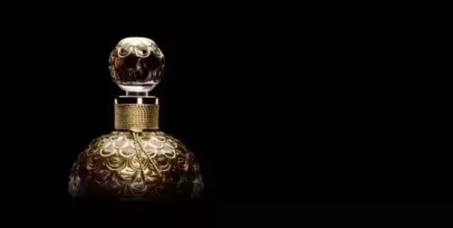 魔兽藏宝箱tw香水娃娃　帕米拉的洋娃娃系列任务奖励-第15张