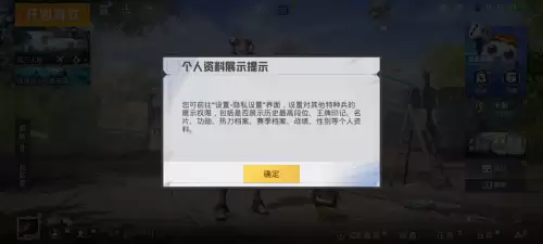吃鸡如何隐藏自己在线微信　吃鸡微信怎么设置年龄-第4张